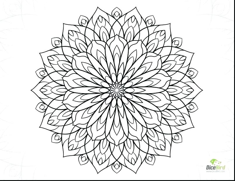 Spring Flower Coloring Pages Coloring Pages Of Cute Cute Flower 805x622 Spring Flower Coloring Pages Coloring Pages Of Cute Cute Flower