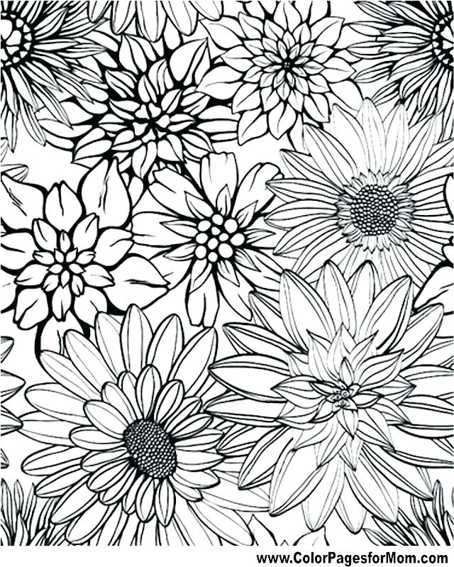 Coloring Pages Adults 640x799 Coloring Pages Adults