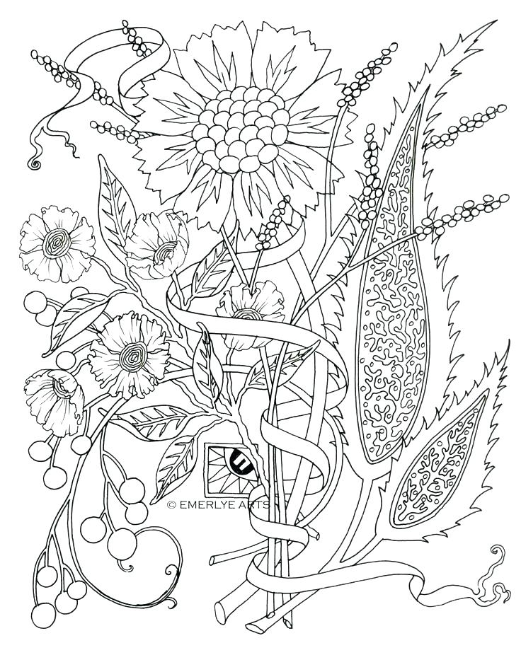 Printable Coloring Pages Adults 736x926 Printable Coloring Pages Adults