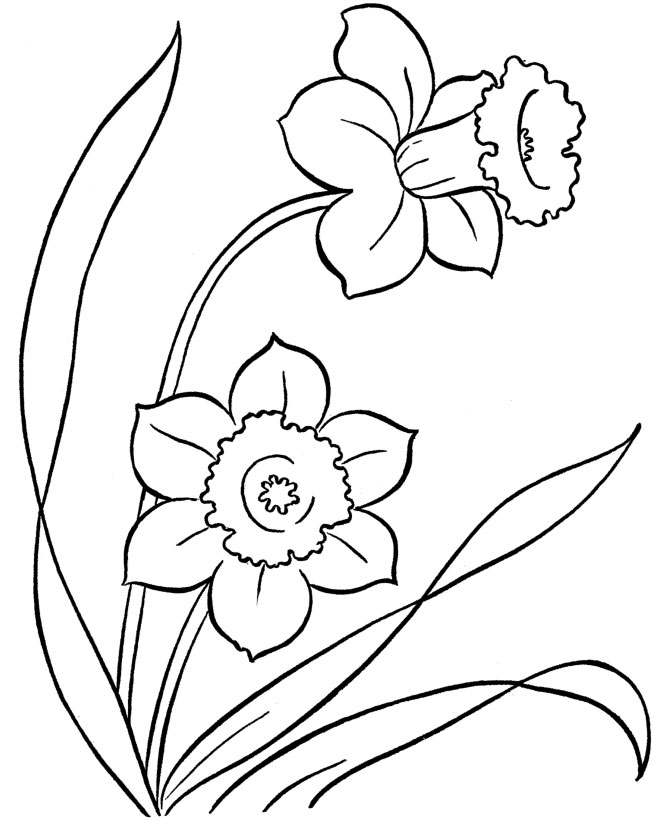 Flower Coloring Sheets For Kids Color Bros 670x820 Flower Coloring Sheets For Kids Color Bros