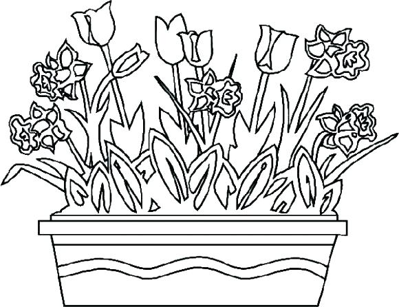 Realistic Flower Coloring Pages Detailed Flower Coloring Pages 580x446 Realistic Flower Coloring Pages Detailed Flower Coloring Pages