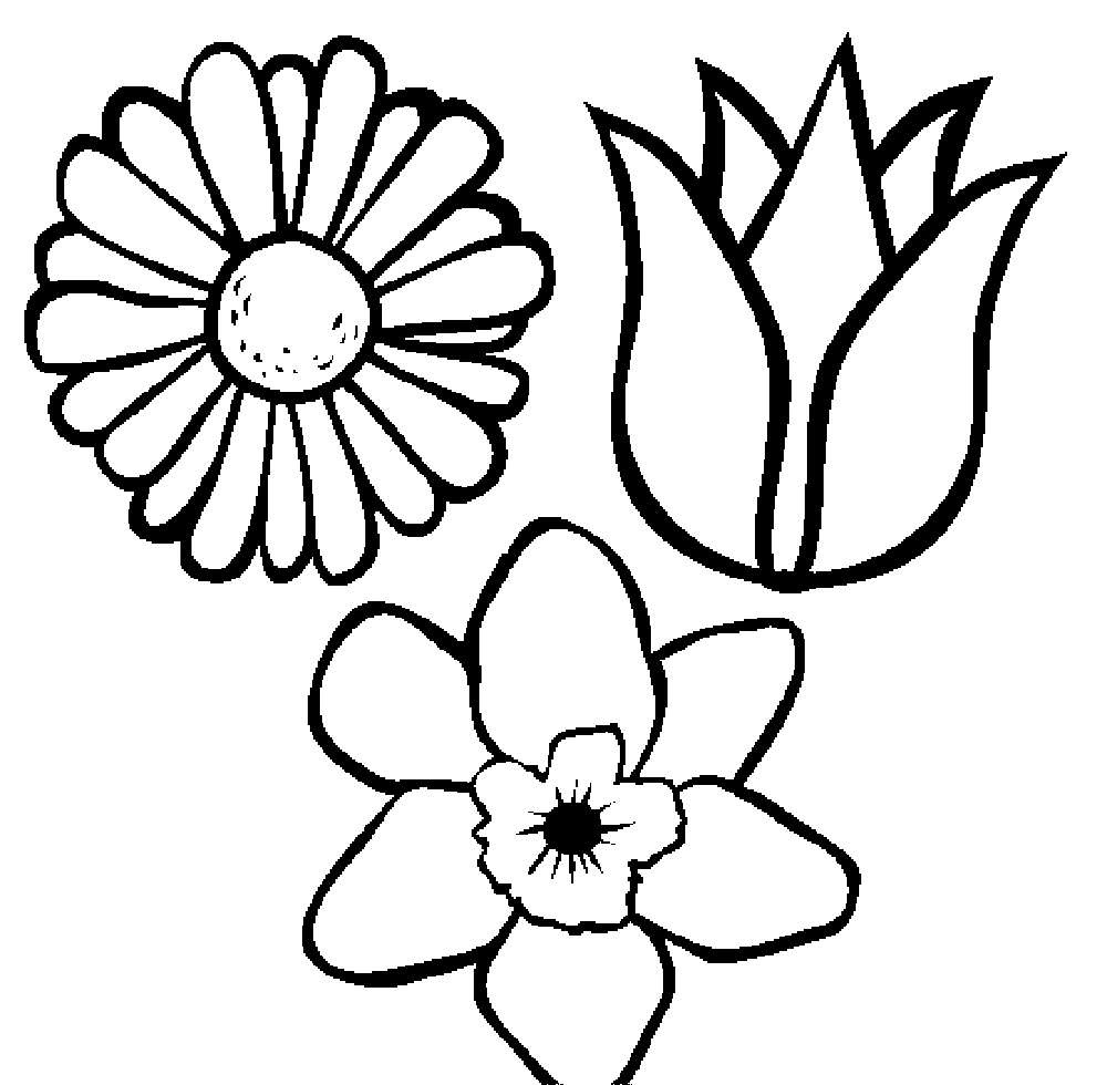 Flower Coloring Pages For Kids 1000x980 Flower Coloring Pages For Kids