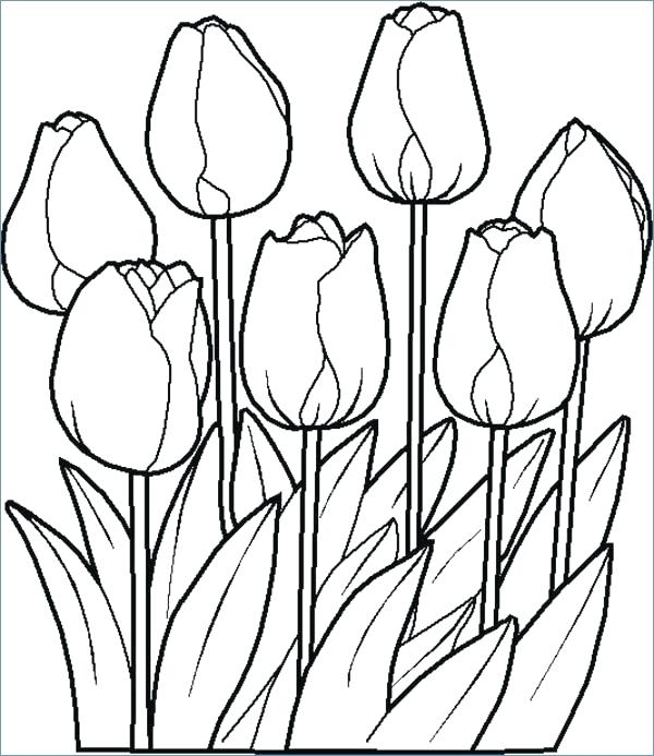 Flower Coloring Pages To Print Spring Flowers Coloring Pages 600x693 Flower Coloring Pages To Print Spring Flowers Coloring Pages