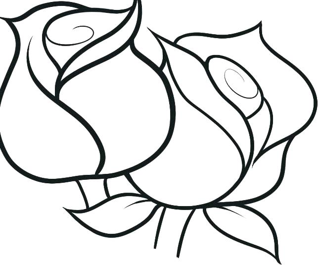 Flower Coloring Sheets Preschoolers Flower Coloring Pages 643x535 Flower Coloring Sheets Preschoolers Flower Coloring Pages
