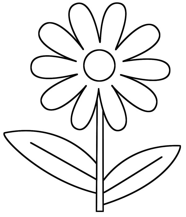Daisy Coloring Pages Free Printable Intended For Designs 1 600x700 Daisy Coloring Pages Free Printable Intended For Designs 1