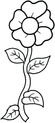 Free Printable Flower Coloring Pages Coloring Pages Of Flowers 236x523 Free Printable Flower Coloring Pages Coloring Pages Of Flowers