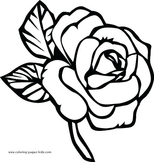 Free Printable Flowers Coloring Pages Coloring Free Printable 534x563 Free Printable Flowers Coloring Pages Coloring Free Printable