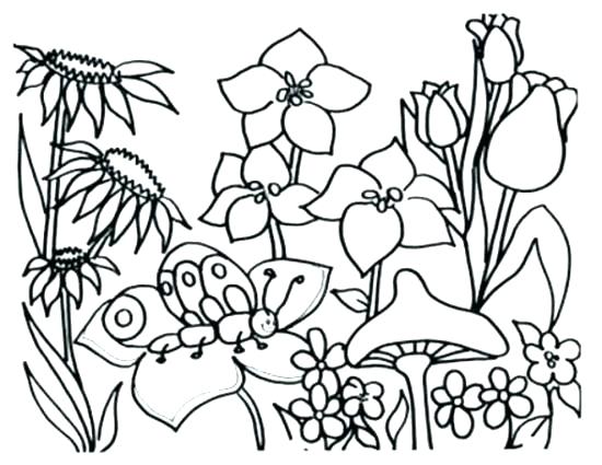 Spring Coloring Pages Preschool Spring Coloring Pages 550x425 Spring Coloring Pages Preschool Spring Coloring Pages