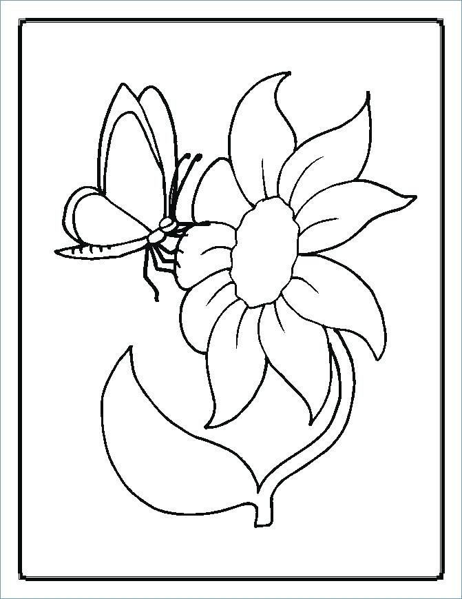 Coloring Pages Of Flowers For Preschool 671x869 Coloring Pages Of Flowers For Preschool