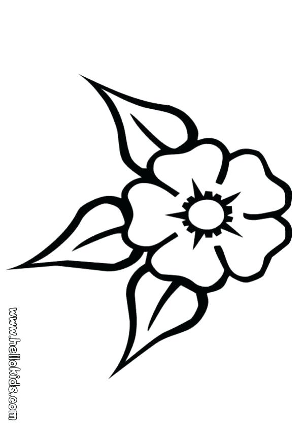 Flower Coloring Page Three Leaf Flower Three Leaf Flower Coloring 601x850 Flower Coloring Page Three Leaf Flower Three Leaf Flower Coloring