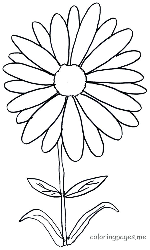 Flower Coloring Pages Flowers Coloring Pages Daisy Flower Coloring 613x1024 Flower Coloring Pages Flowers Coloring Pages Daisy Flower Coloring