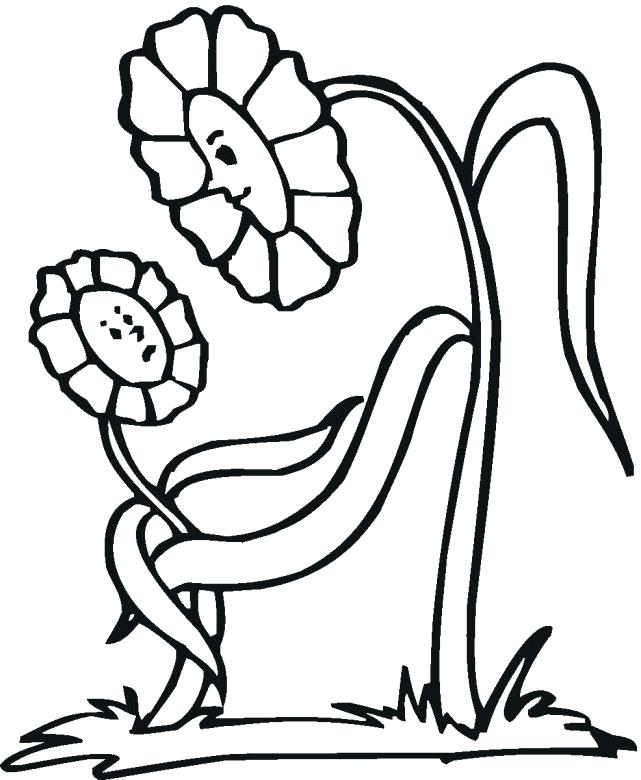 Flower Coloring Pages For Preschoolers Educational Flower 641x780 Flower Coloring Pages For Preschoolers Educational Flower
