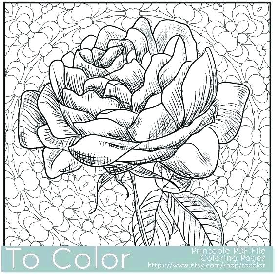 570x565 Flower Design Coloring Pages Adult Coloring Page Balls Coloring