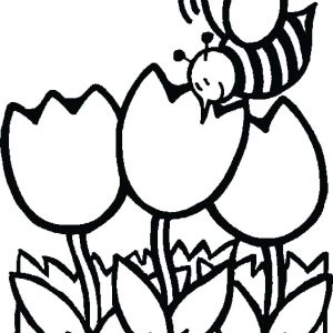 Flower Coloring Pages For Toddlers Fresh Flower Coloring Pages 300x300 Flower Coloring Pages For Toddlers Fresh Flower Coloring Pages