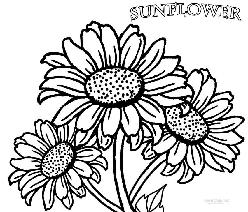 Printable Sunflower Coloring Pages For Kids Cool2bkids 850x728 Printable Sunflower Coloring Pages For Kids Cool2bkids