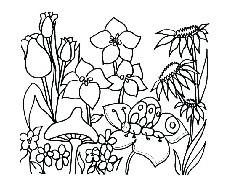 Coloring Pages Garden 780x644 Coloring Pages Garden