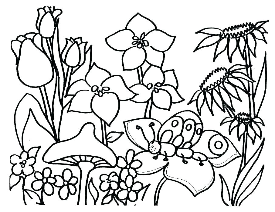 Coloring Pictures For Spring 906x700 Coloring Pictures For Spring