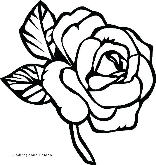 Flowers Coloring Pages For Kids 534x563 Flowers Coloring Pages For Kids