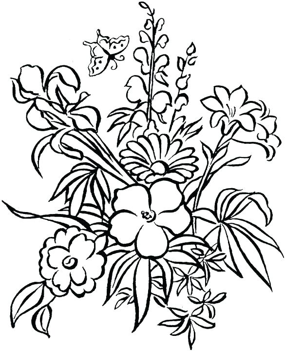 585x720 Pretty Flowers Coloring Pages Vanda