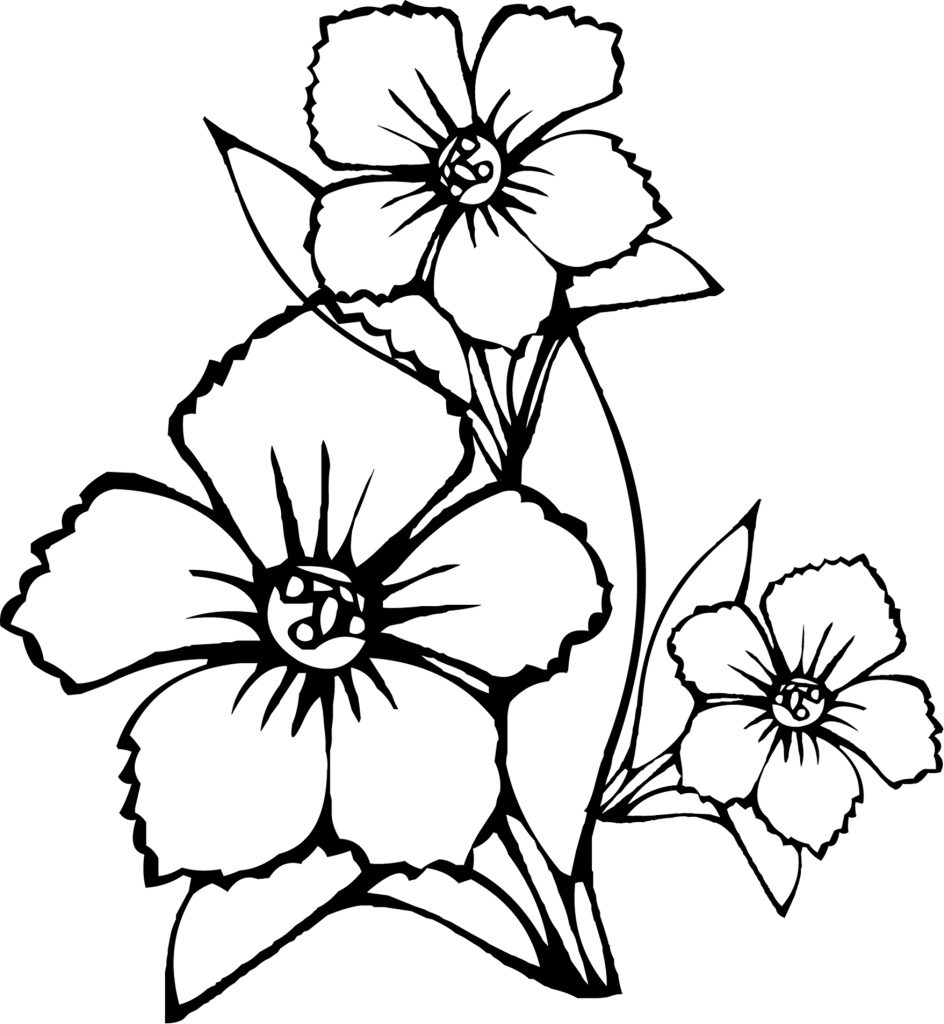 944x1024 Flower Coloring Pages For Adults