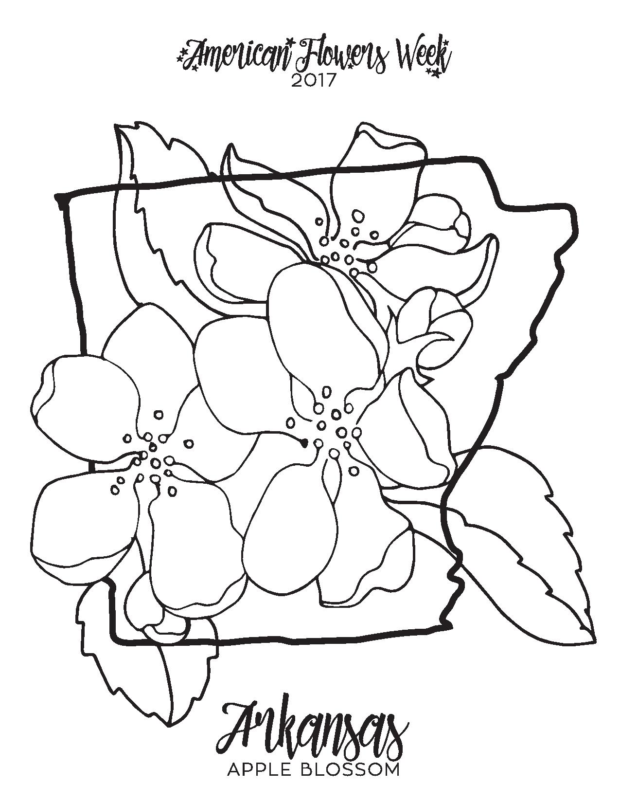1275x1650 50 State Flowers Free Coloring Pages American Flowers Week