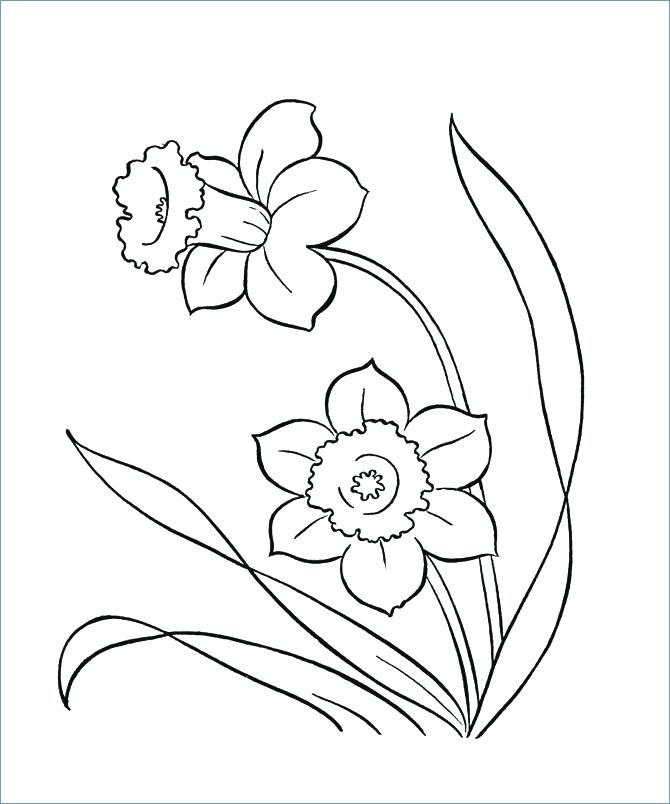 670x804 Cool Flower Coloring Pages Spring Flowers Coloring Page Many