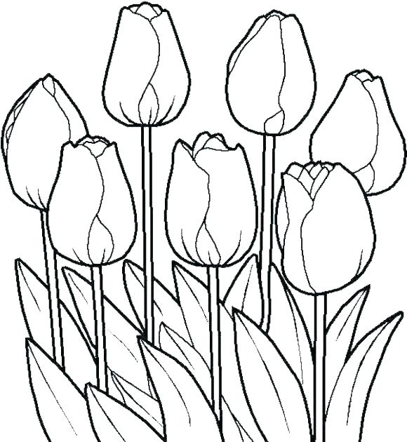 580x630 Floral Coloring Pages Pdf Coloring Pages Of Flowers Garden Flowers