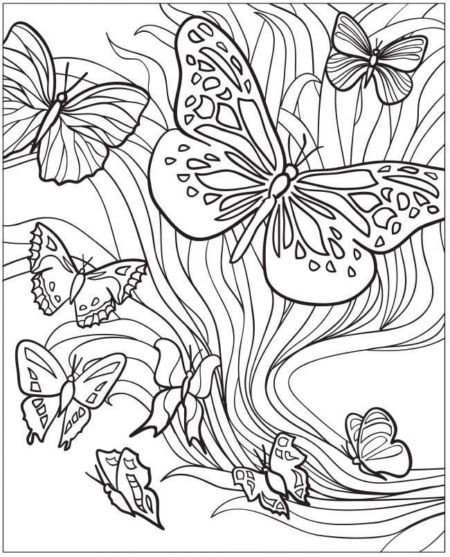 650x804 Big Flower Coloring Pages Beautiful 89 Best Color Me Happy Images