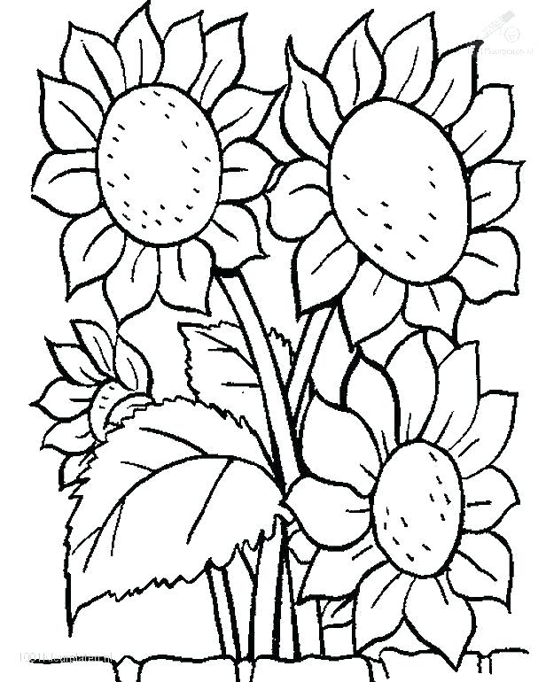616x770 Coloring Pages Flowers Printable Coloring Image 25 Unique Flower