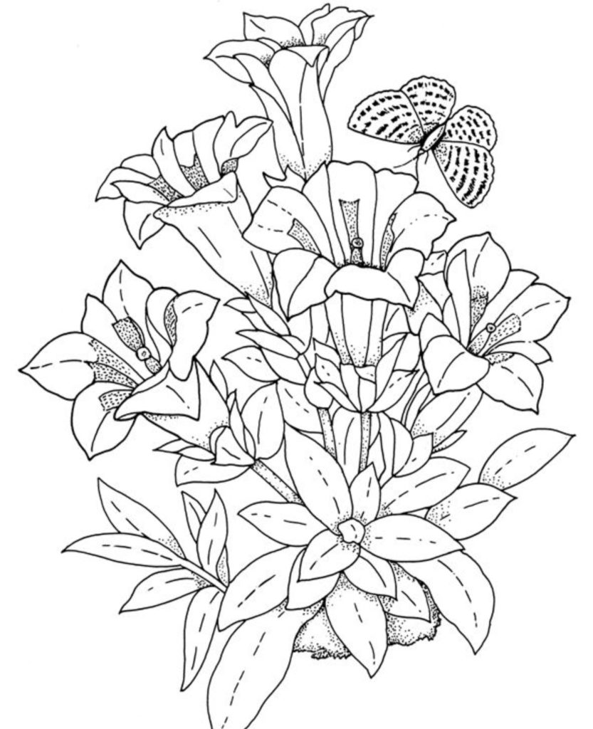 833x1024 Flower Coloring Pages Coloring Pages And Coloring