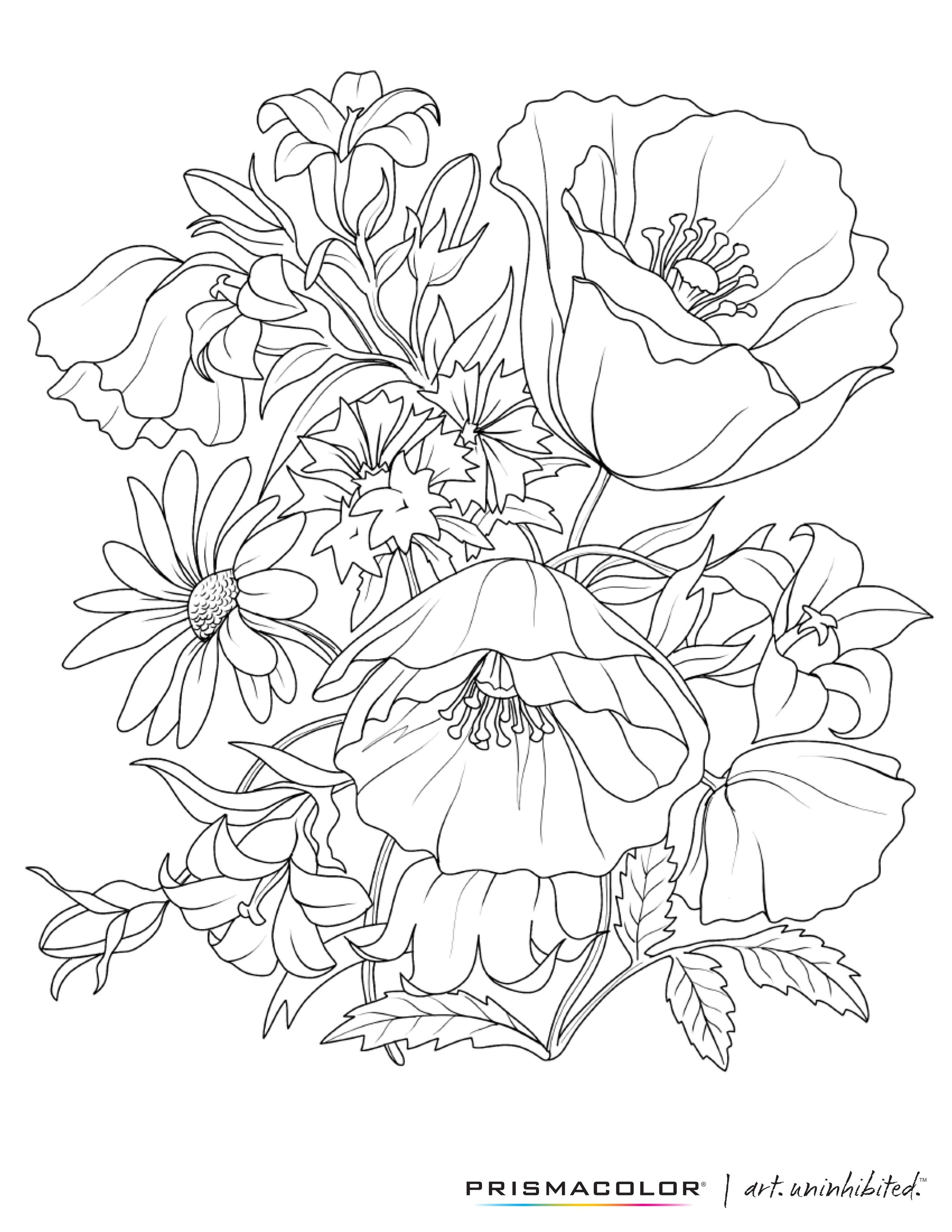 2550x3300 What A Beautiful Flower Adult Coloring Page! Coloring Pages