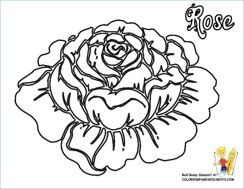 Flower Coloring Pages To Print at GetColorings.com | Free printable ...