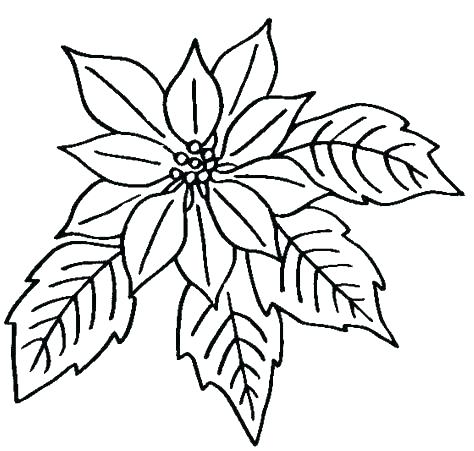 Free Printable Flower Coloring Pages Printable Flower Coloring 474x451 Free Printable Flower Coloring Pages Printable Flower Coloring