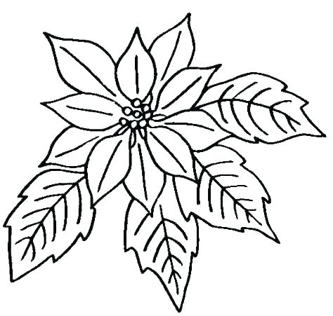 Flower Print Out Coloring Pages Print Out Coloring Pages Flowers 474x451 Flower Print Out Coloring Pages Print Out Coloring Pages Flowers