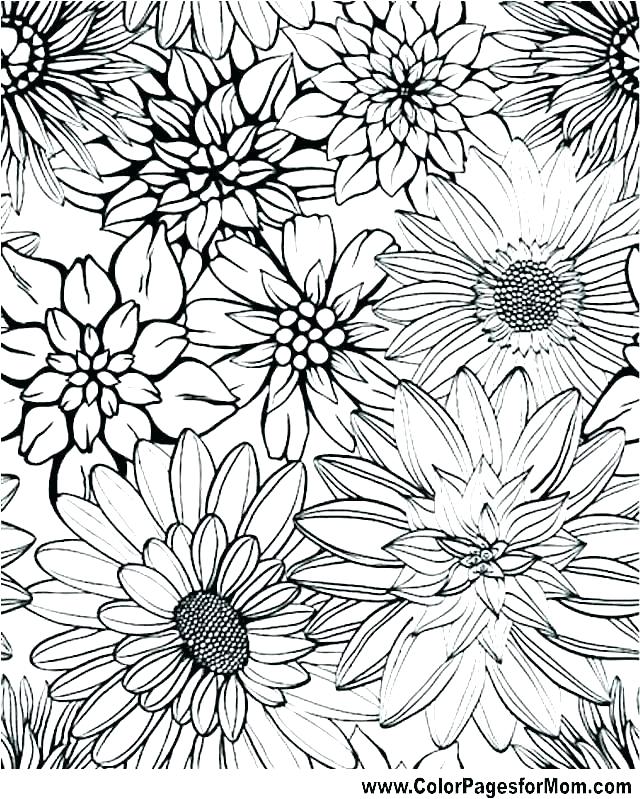 Advanced Coloring Pages To Print Free Advanced Coloring Pages 640x799 Advanced Coloring Pages To Print Free Advanced Coloring Pages