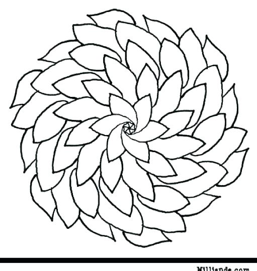 Flowers Coloring Pages Printable 511x540 Flowers Coloring Pages Printable