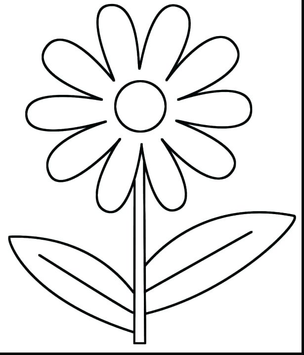 Excellent Spring Flower Coloring Pages Online Print Out Lovable 615x718 Excellent Spring Flower Coloring Pages Online Print Out Lovable
