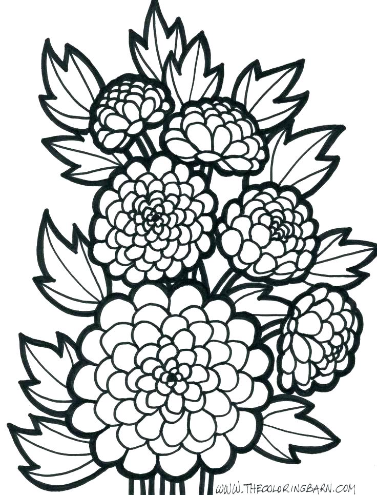 736x965 Flower Coloring Pages Easy