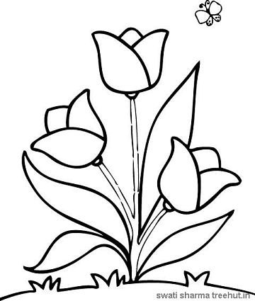 360x425 Easy Flower Coloring Pages