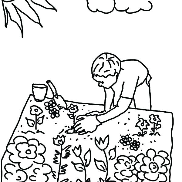 Daisy Flower Coloring Pages Flower Garden Coloring Page Garden 600x600 Daisy Flower Coloring Pages Flower Garden Coloring Page Garden