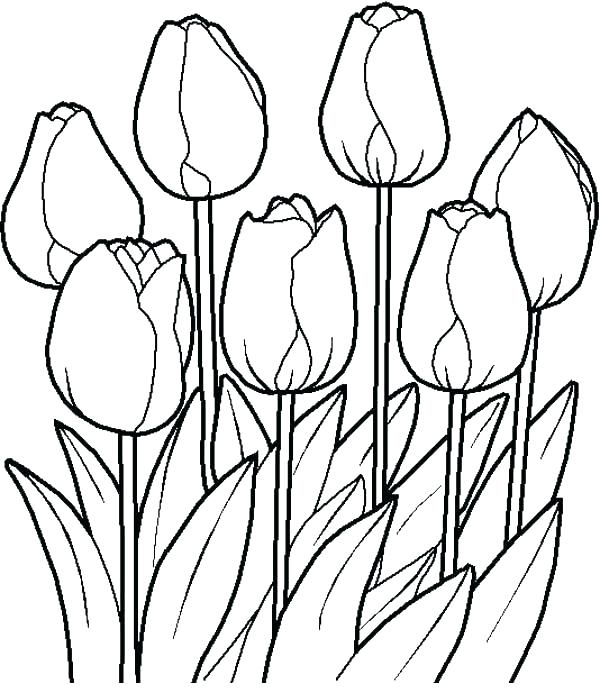 Flower Garden Coloring Page Garden Coloring Page Flower Garden 600x693 Flower Garden Coloring Page Garden Coloring Page Flower Garden