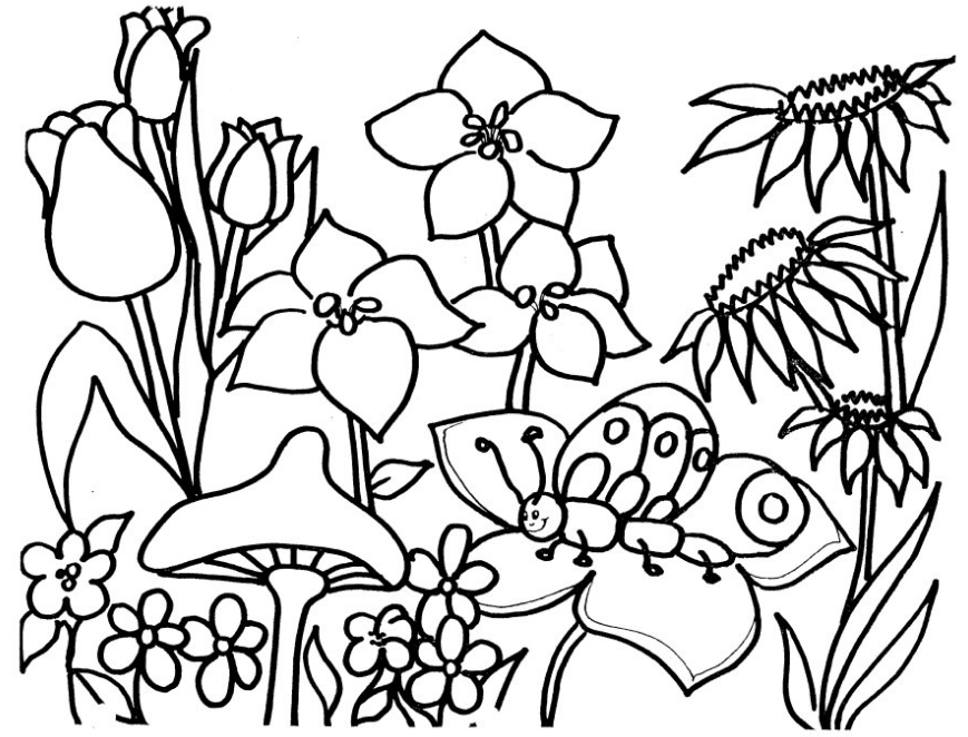 Flower Garden Coloring Page Amp Coloring Book 869x662 Flower Garden Coloring Page Amp Coloring Book