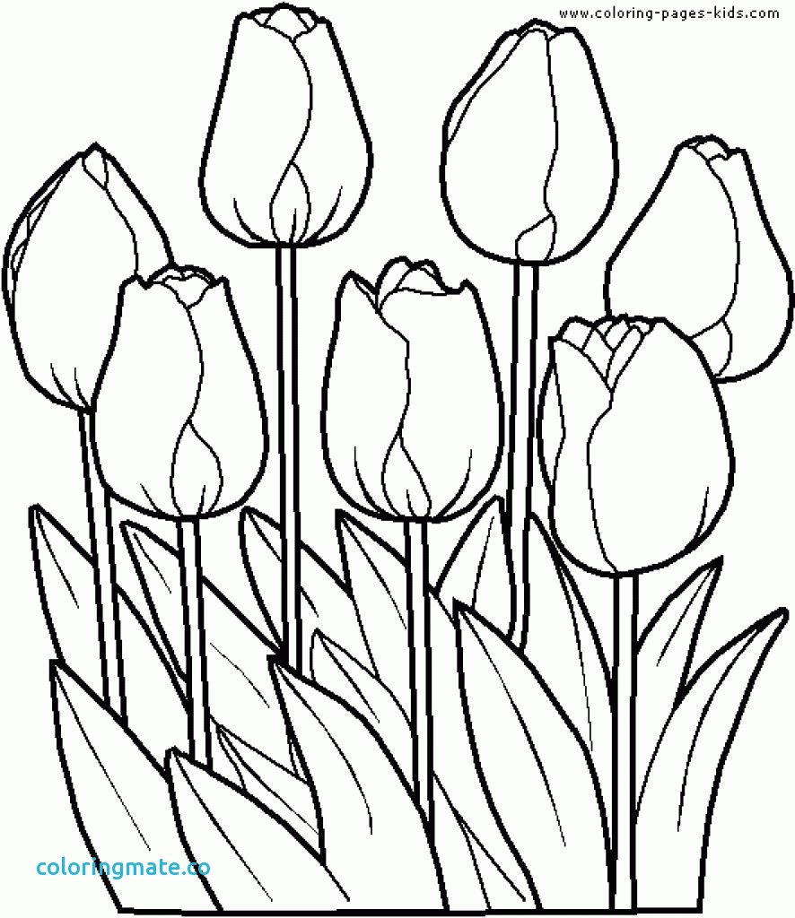 Flower Garden Coloring Pages Lovely Page Of Coloriafes Disney 886x1024 Flower Garden Coloring Pages Lovely Page Of Coloriafes Disney