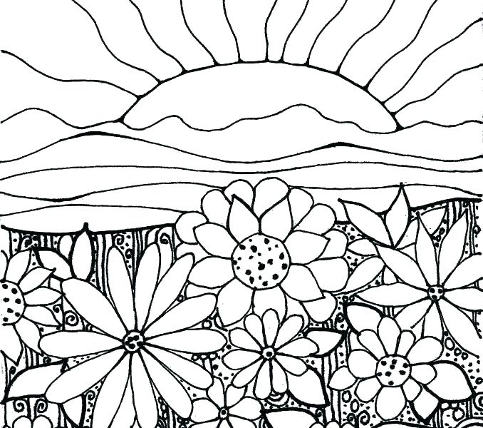 Flower Garden Coloring Pages Luxury Flower Garden Coloring Page 678x600 Flower Garden Coloring Pages Luxury Flower Garden Coloring Page