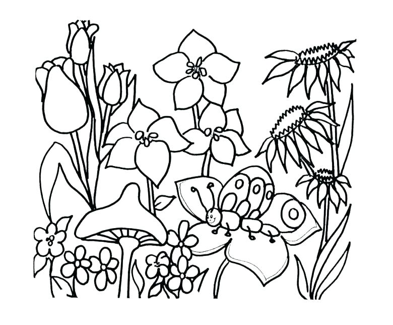 Garden Coloring Page Luxury Flower Garden Coloring Page Crayola 780x644 Garden Coloring Page Luxury Flower Garden Coloring Page Crayola