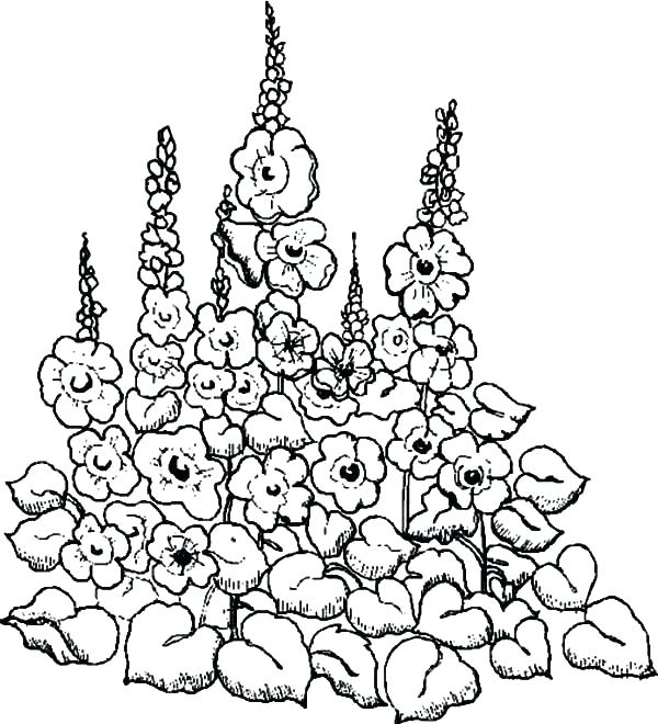 Spring Garden Coloring Pages 600x660 Spring Garden Coloring Pages