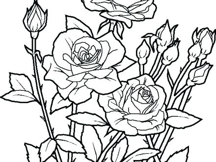 Coloring Page Flowers Flower Garden Coloring Page Coloring Pages 440x330 Coloring Page Flowers Flower Garden Coloring Page Coloring Pages
