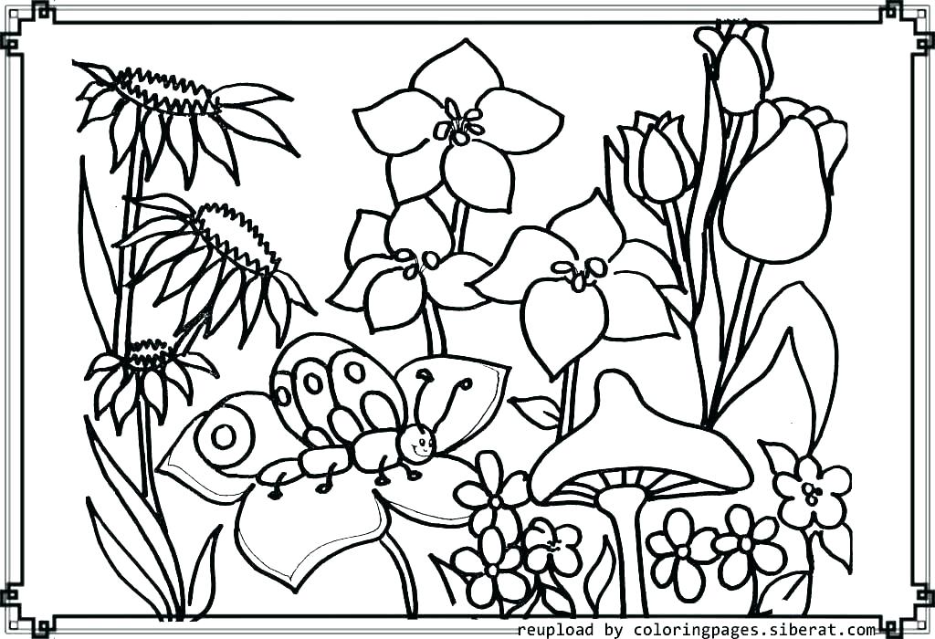 Coloring Pages Garden Flower Garden Coloring Pages Garden Coloring 1024x700 Coloring Pages Garden Flower Garden Coloring Pages Garden Coloring