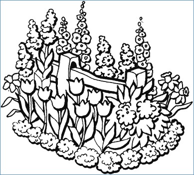 389x350 Flower Garden Coloring Pages Printable