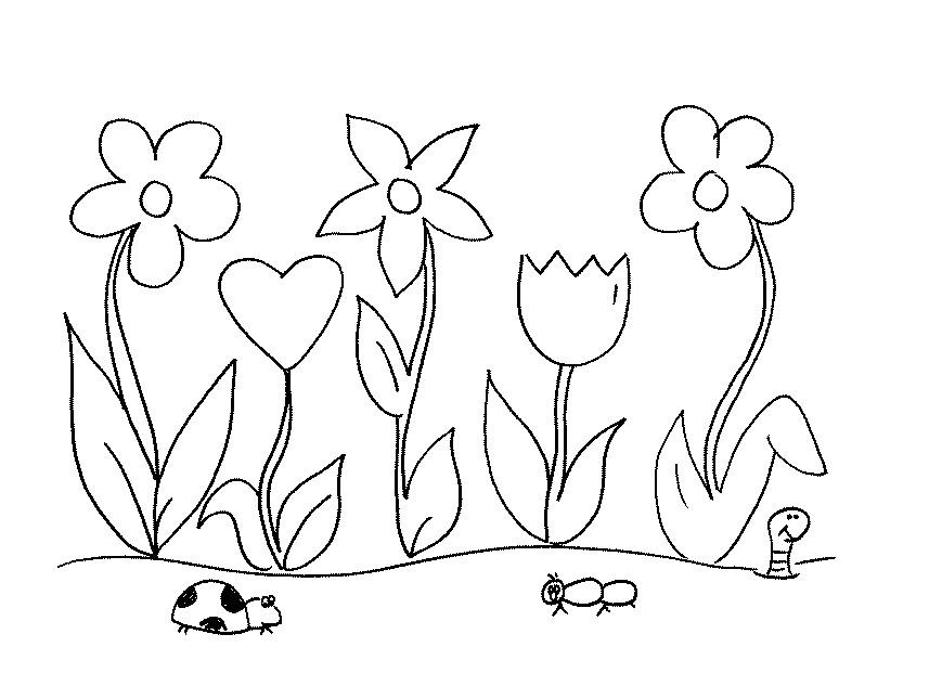 869x633 Gardening Coloring Pages For Kindergarten Page Of Flower Garden